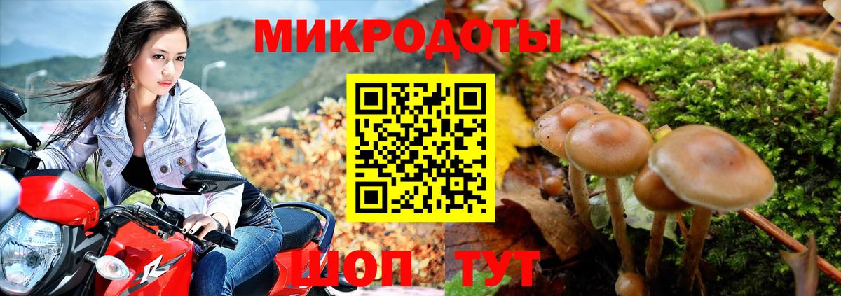 Псилоцибиновые грибы ЛСД Лабинск